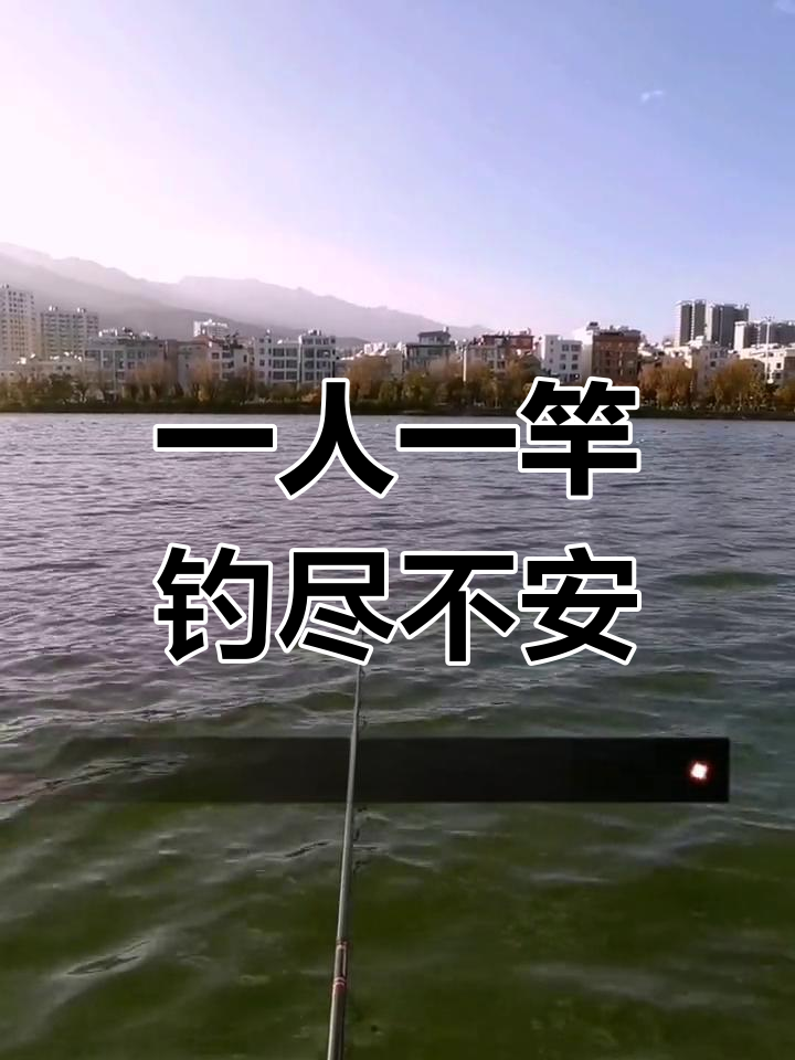 钓鱼,享受孤独与自由