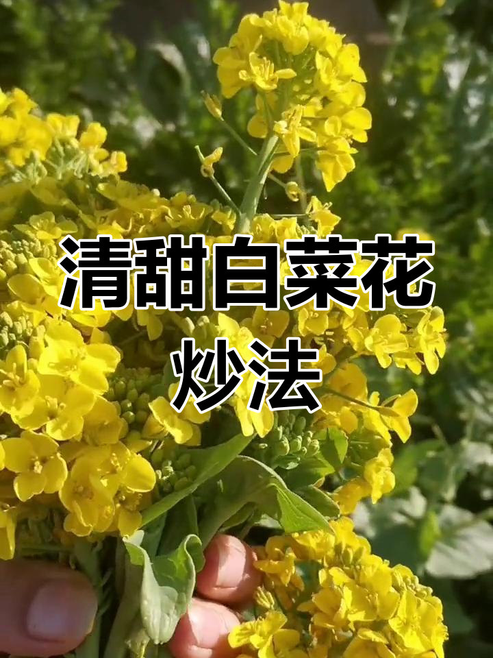 新鲜白菜花炒出美味,简单又清爽的家常菜