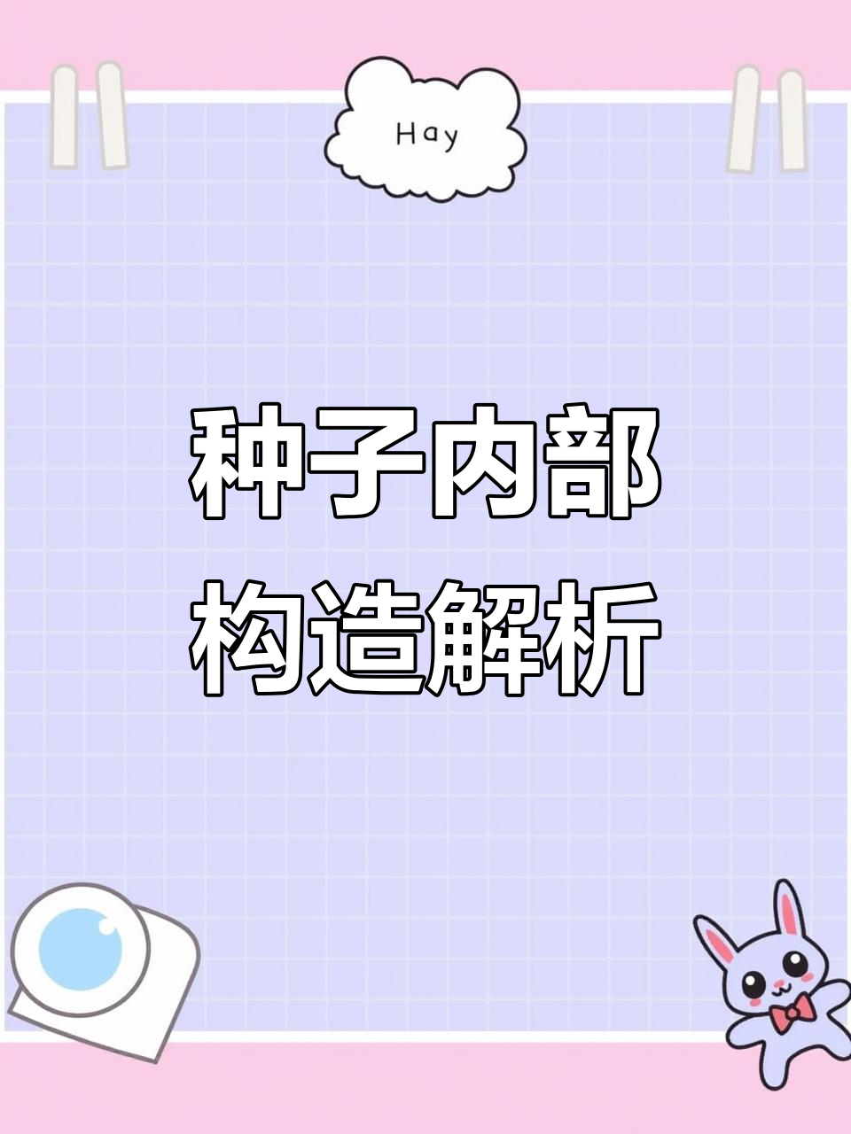 种子结构揭秘:菜豆与玉米种子的差异