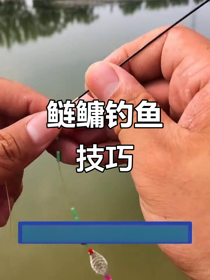 鲢鳙线组调漂技巧与钓法揭秘