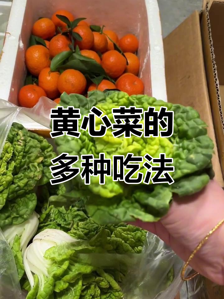 安徽特产黄心菜,做法多样,炒煮火锅都美味