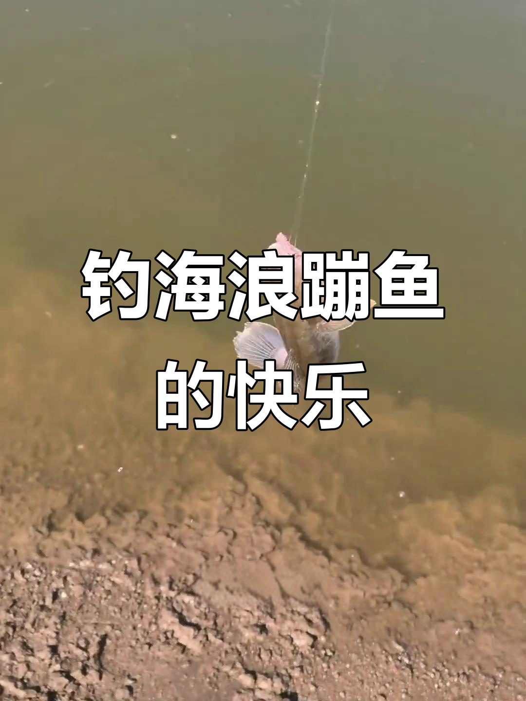 海边钓鱼乐趣多,海浪蹦鱼大挑战