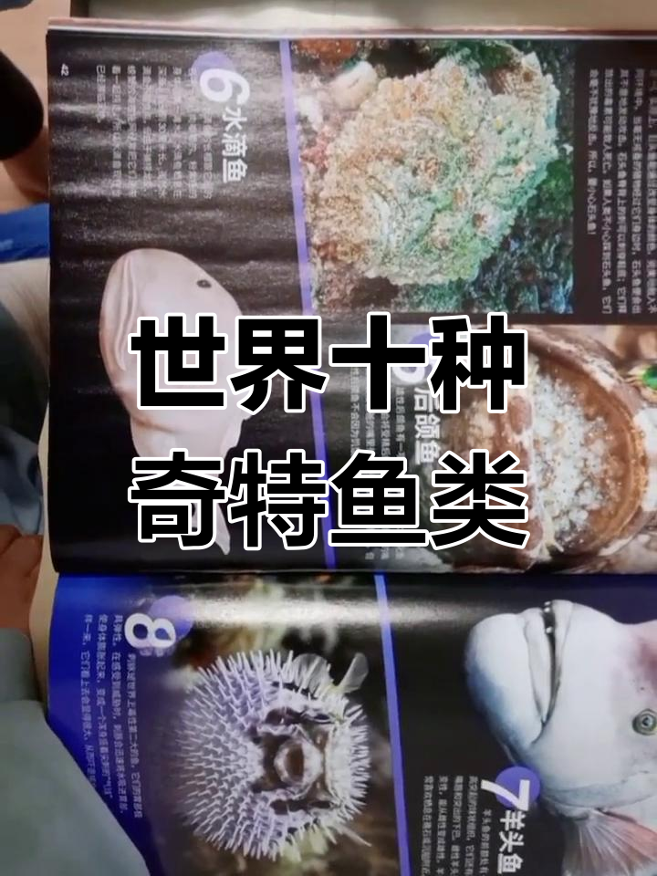 十大奇特的怪鱼,揭秘它们的独特习性