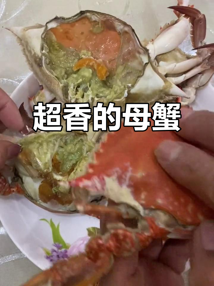 这只母蟹太香了,黄满肉肥,吃了让人停不下来!
