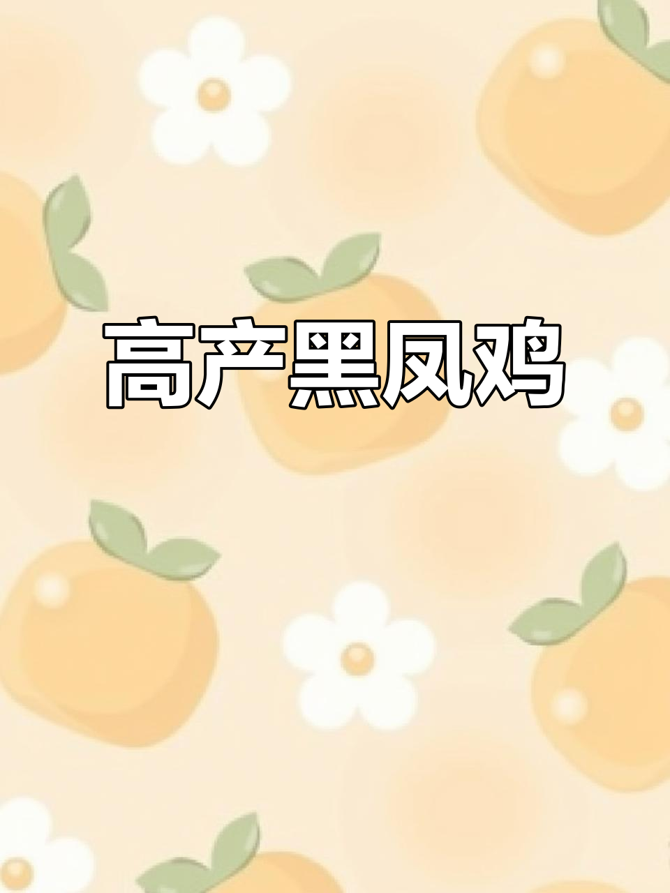 黑凤鸡年产三百枚绿壳蛋,肉质鲜美又好养