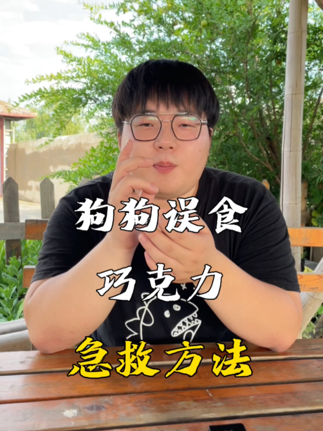 狗狗误食巧克力,你会怎么办?