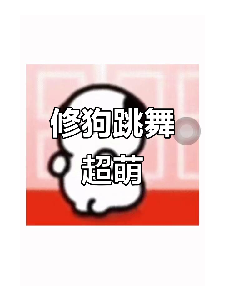 修狗跳舞太可爱,帕恰狗表情包来袭