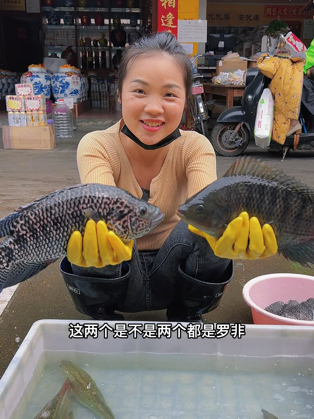 花斑鱼和罗非鱼的区别