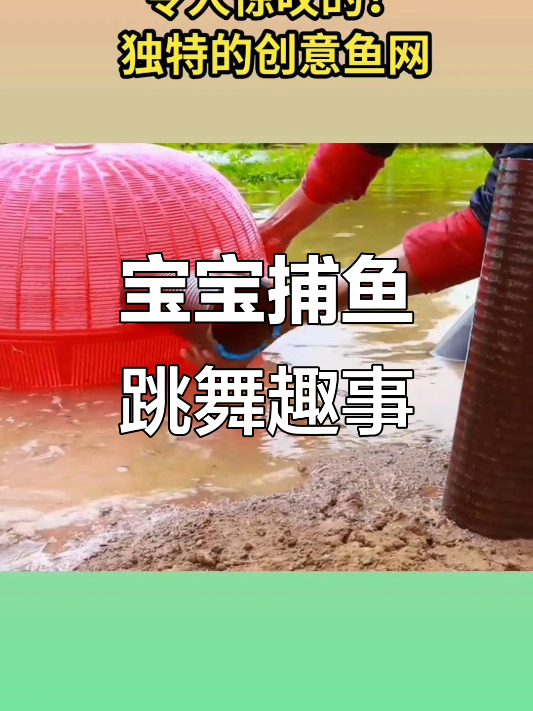 鲨鱼宝宝户外捕鱼大冒险,舞动嗨翻天