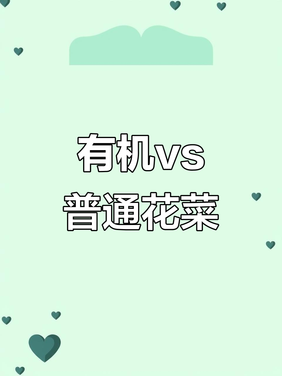 你家更爱有机花菜还是普通花菜?口感大不同!
