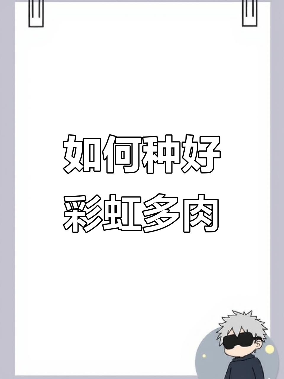 彩虹多肉养护全攻略,轻松掌握浇水技巧