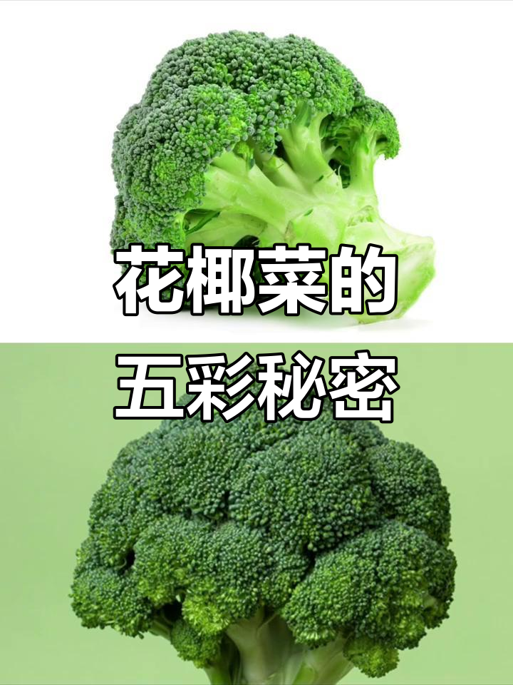 彩色花椰菜大揭秘：不同颜色营养差异解析