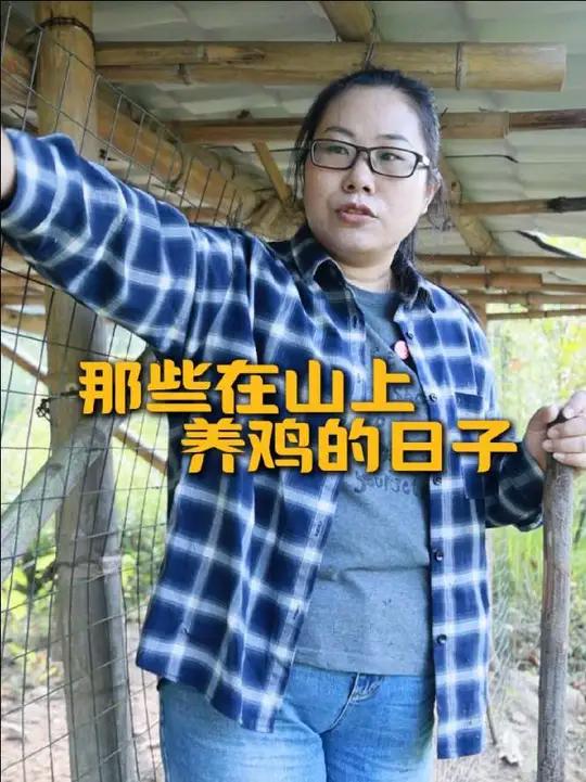 那些在山上养鸡的日子三农乡村生活田园生活