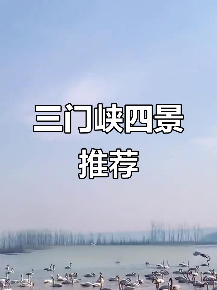 三门峡四大必游景点,探秘黄河大坝与天鹅湖