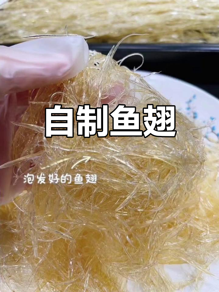 鱼翅泡发全攻略