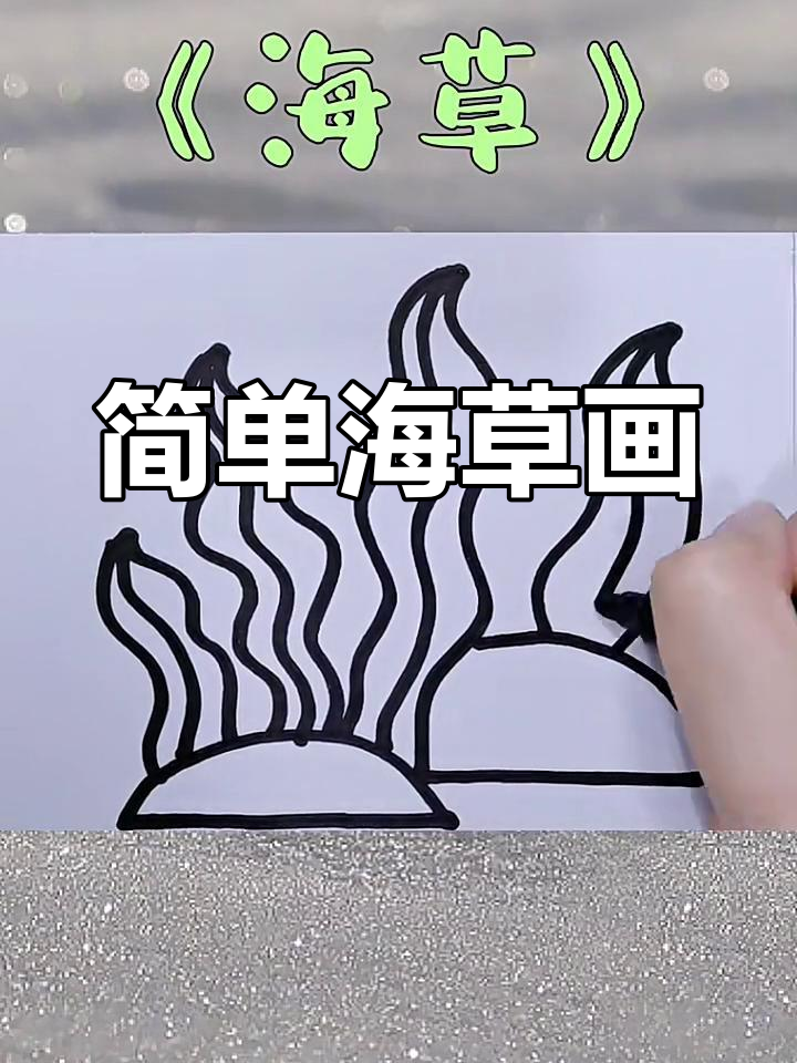 海草简笔画,画出海底的美丽与神秘