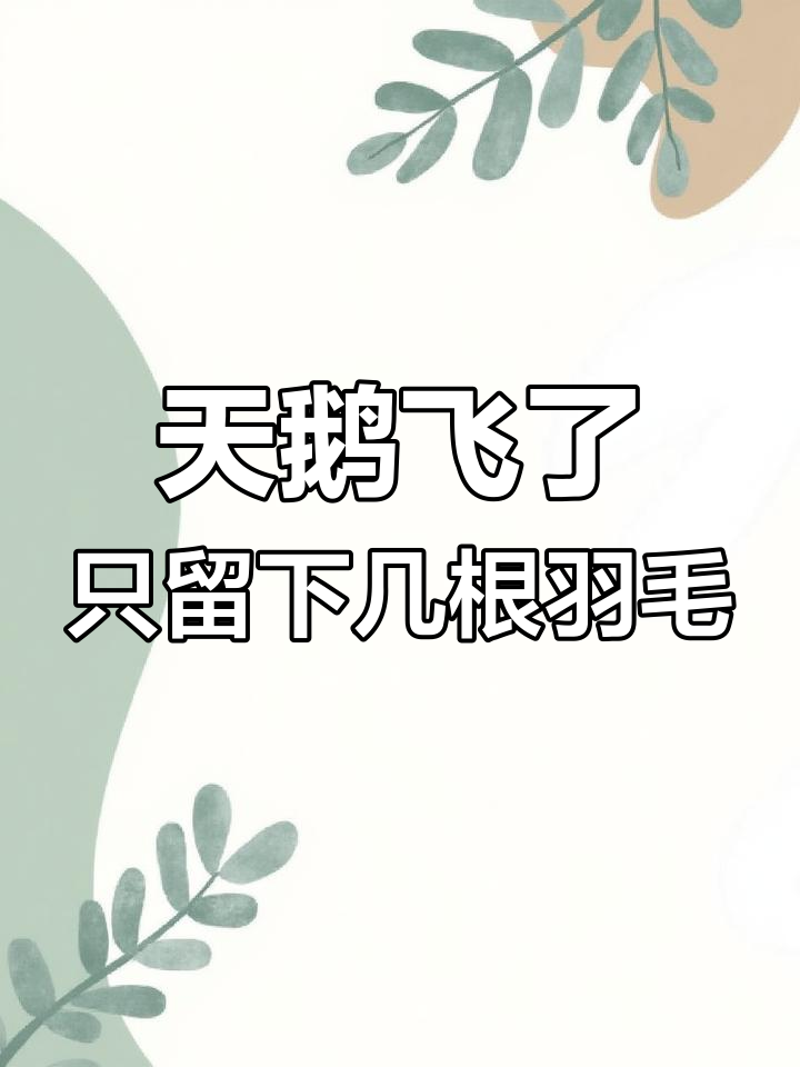 唐朝使者送鹅毛,天鹅飞走留羽毛的故事