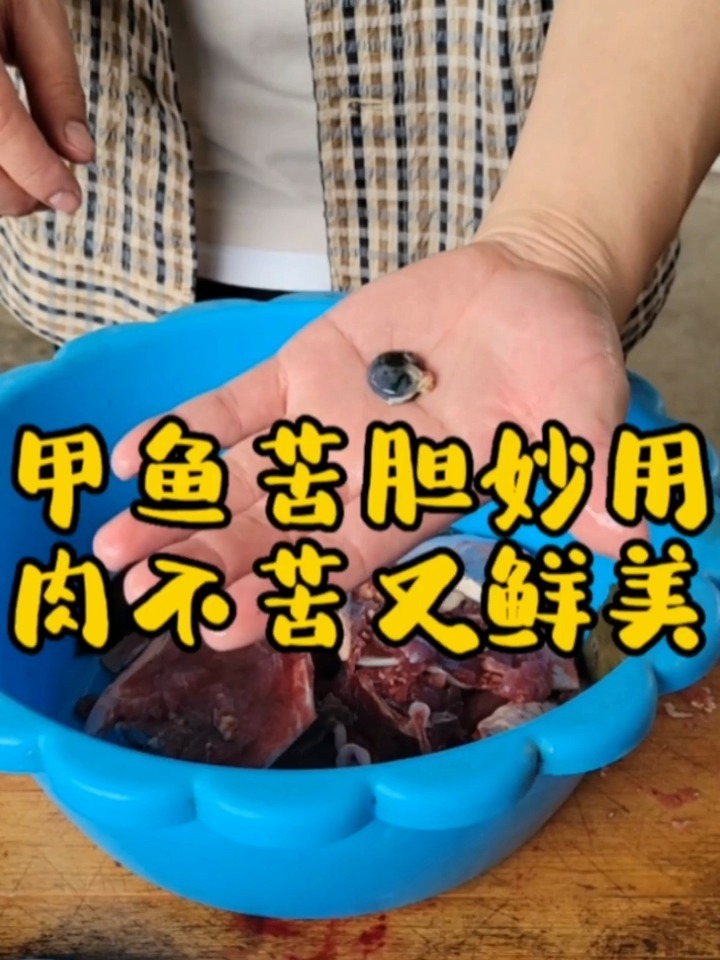 干货分享甲鱼苦胆妙用
