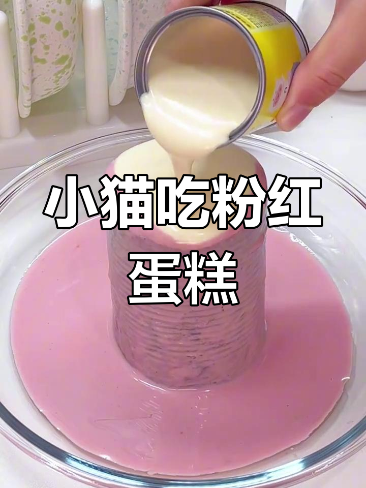 猫咪的粉色奶油蛋糕,干饭超积极!