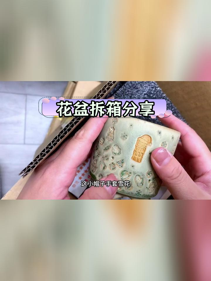 多肉花盆开箱,细节大揭秘