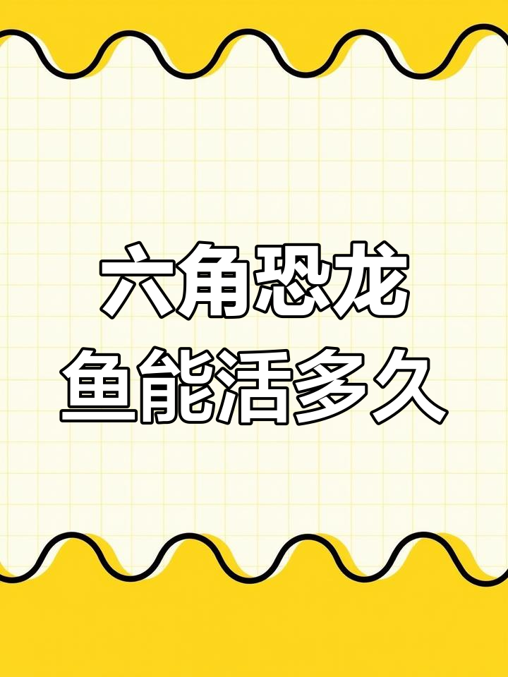 六角恐龙鱼的寿命与饲养技巧