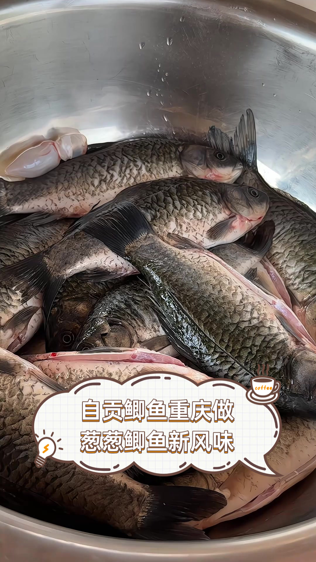 自贡鲫鱼重庆做,葱葱鲫鱼新风味
