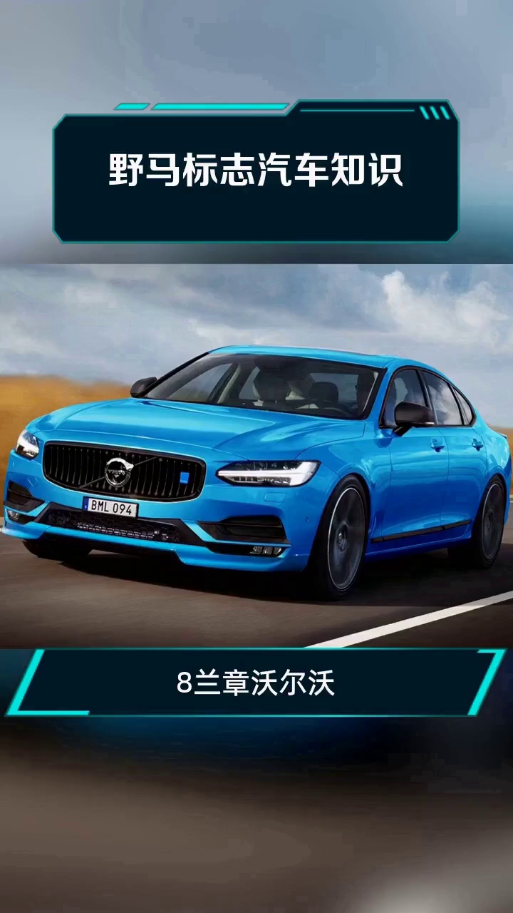 野马标志汽车知识