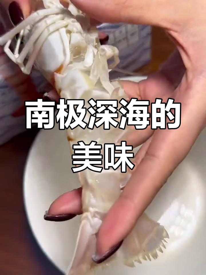 十年冰川孕育，新西兰鳌虾刺身美味非凡