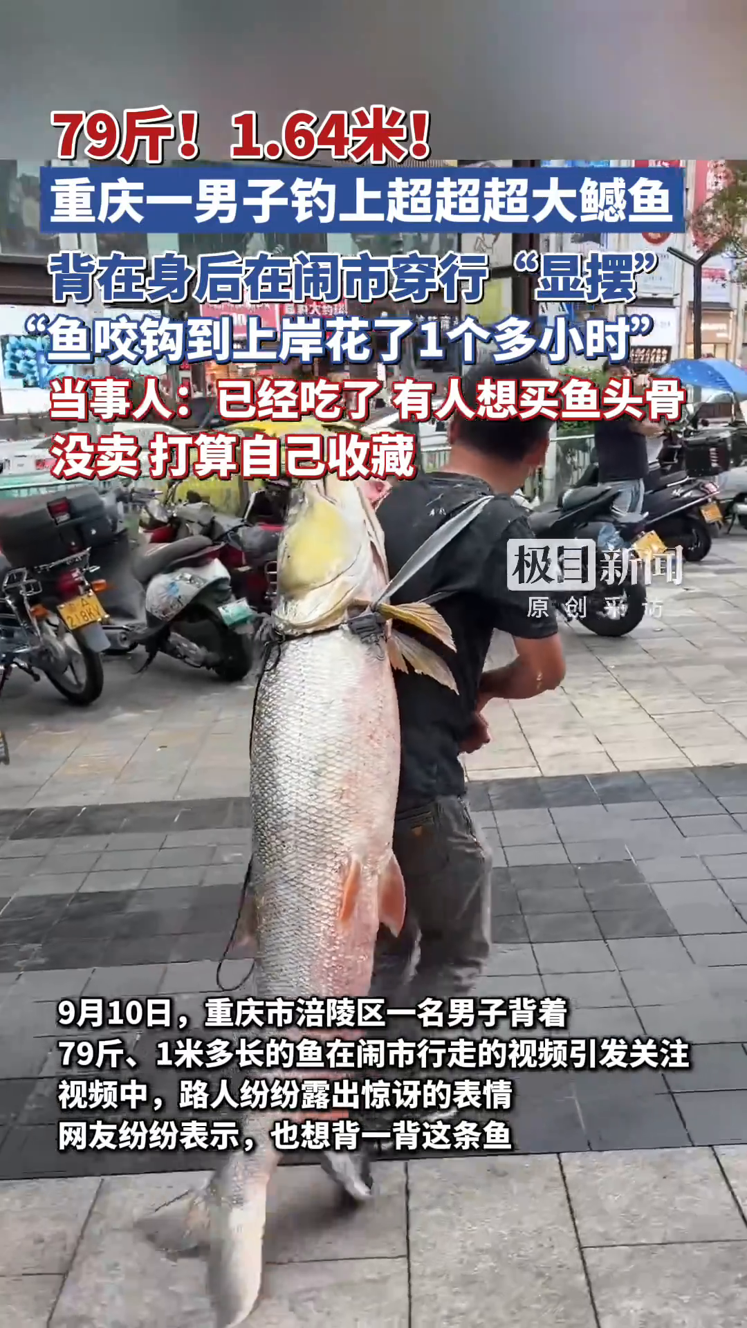 「视频」79斤!1.64米!重庆一男子钓上超超超大鳡鱼,背在身后在闹市穿行“显摆”,“鱼咬