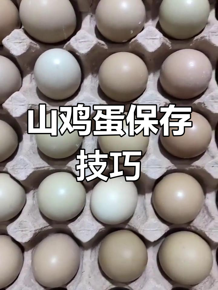 如何长期保存山鸡蛋