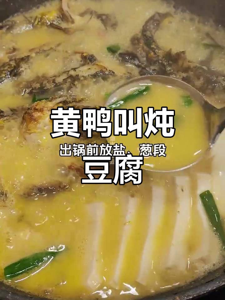 黄鸭叫煮豆腐,汤鲜美又家常!