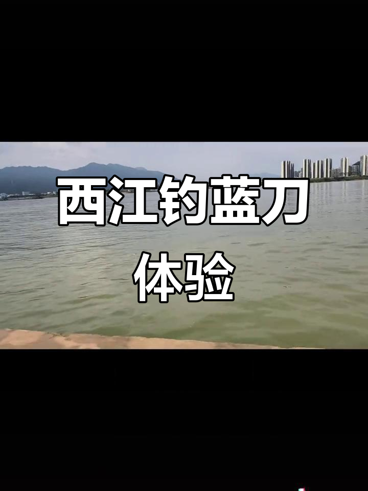 6月11日西江钓鱼测试：蓝刀到土灵全程记录