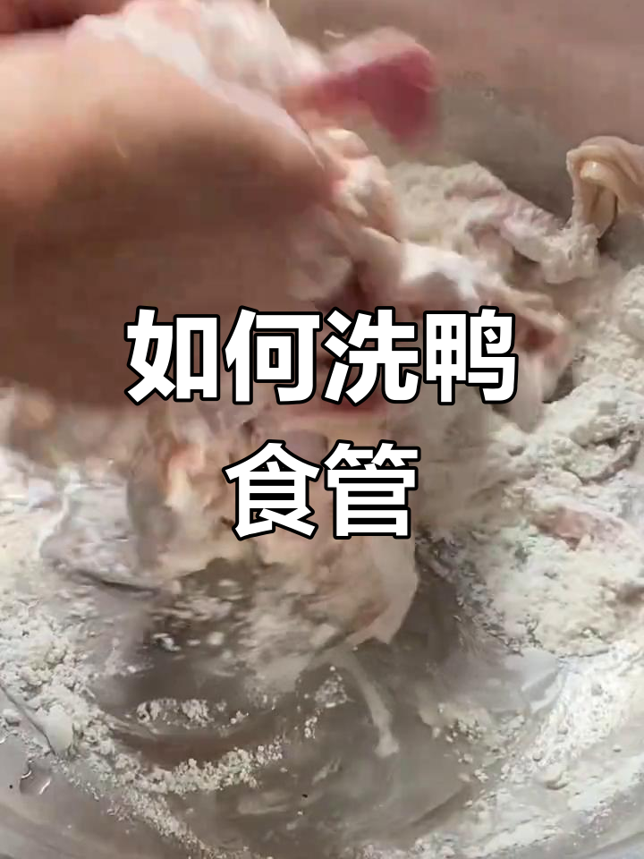 鸭食管清洗技巧大揭秘