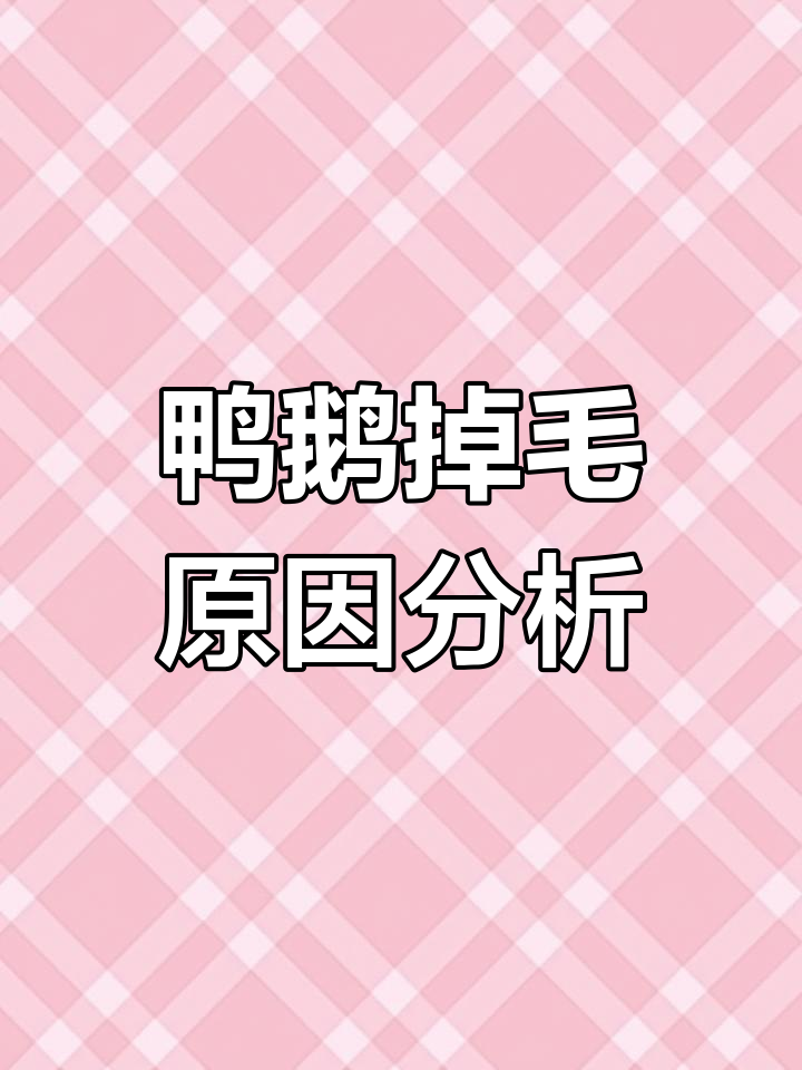 圆环病毒导致掉毛,生长缓慢怎么办?
