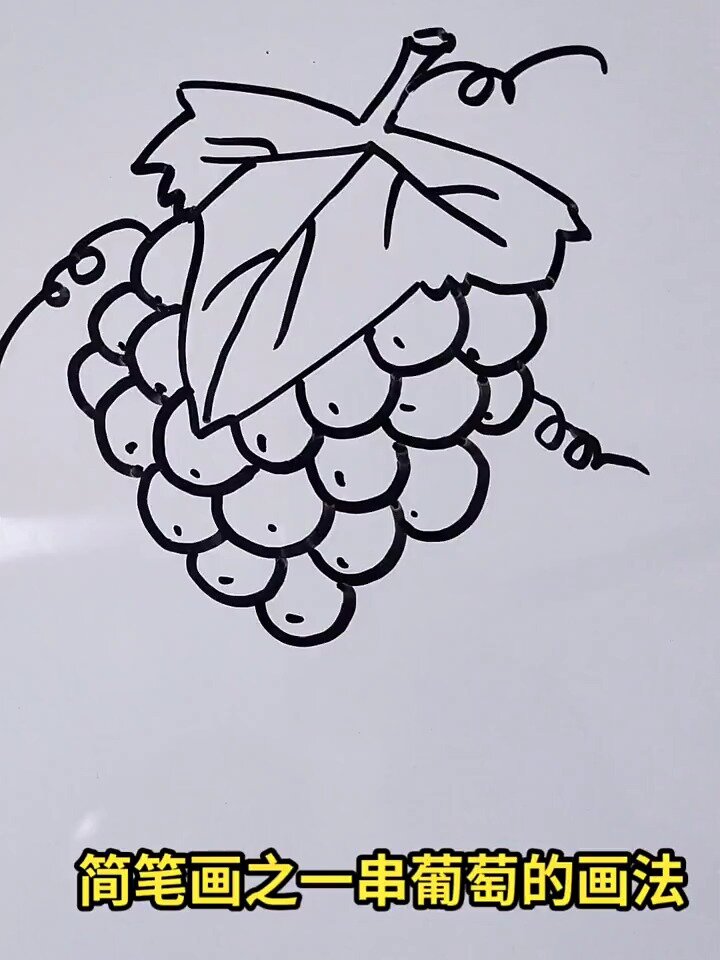 简笔画之一串葡萄的画法