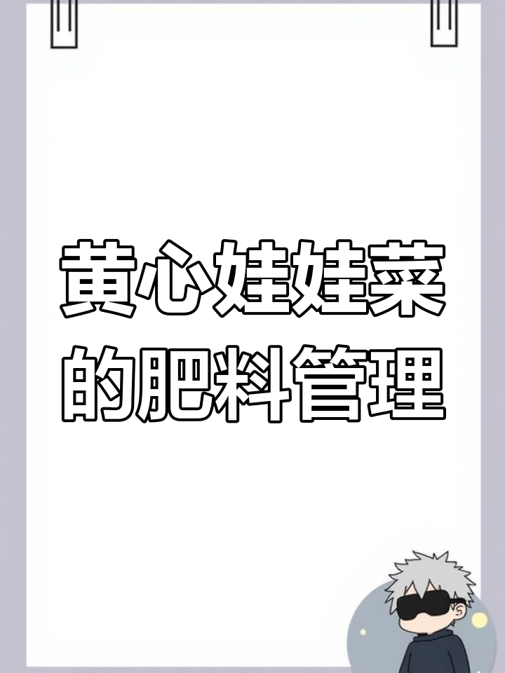 娃娃菜施肥全攻略,助力黄心娃健康生长