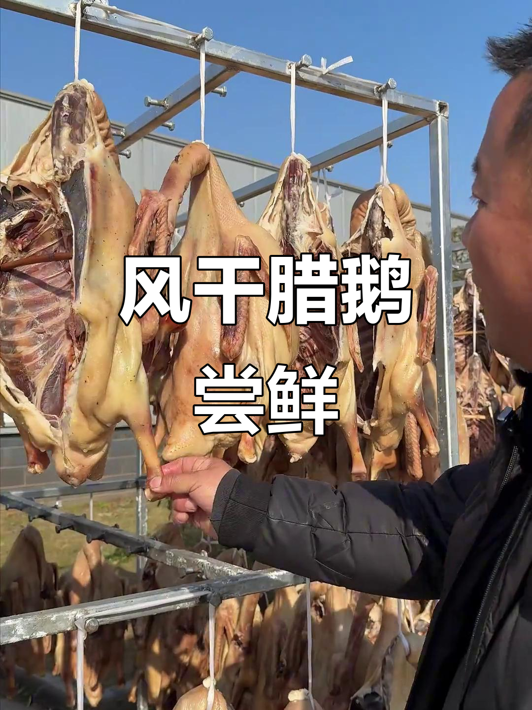 皖西咸鹅风干晒足,冬天味道更佳!