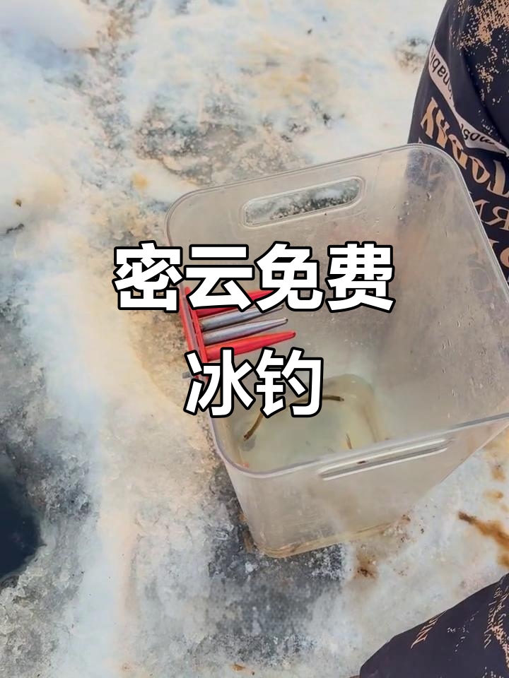 密云冰钓小公鱼,太阳落山前收获30条