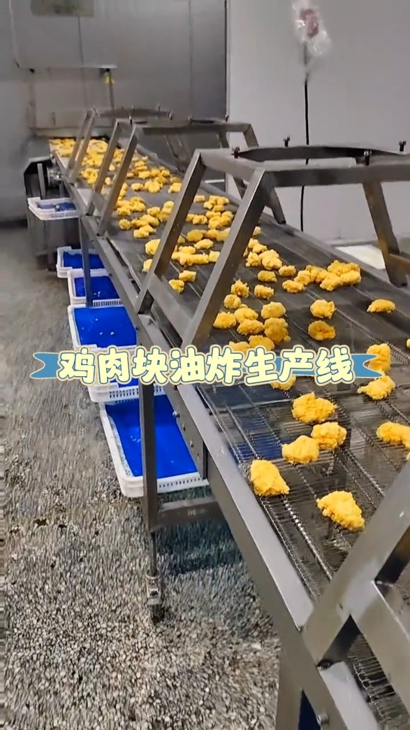 全自动鸡块油炸流水线每小时炸制 3000 斤!从裹粉到油炸