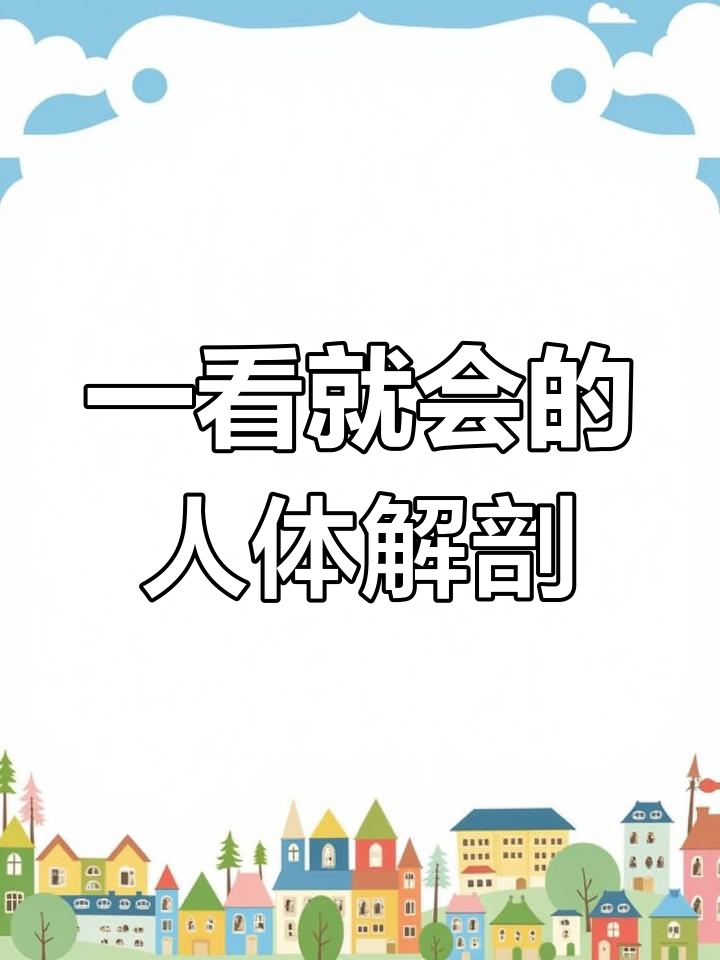 轻松掌握人体解剖,平面图解肌肉结构