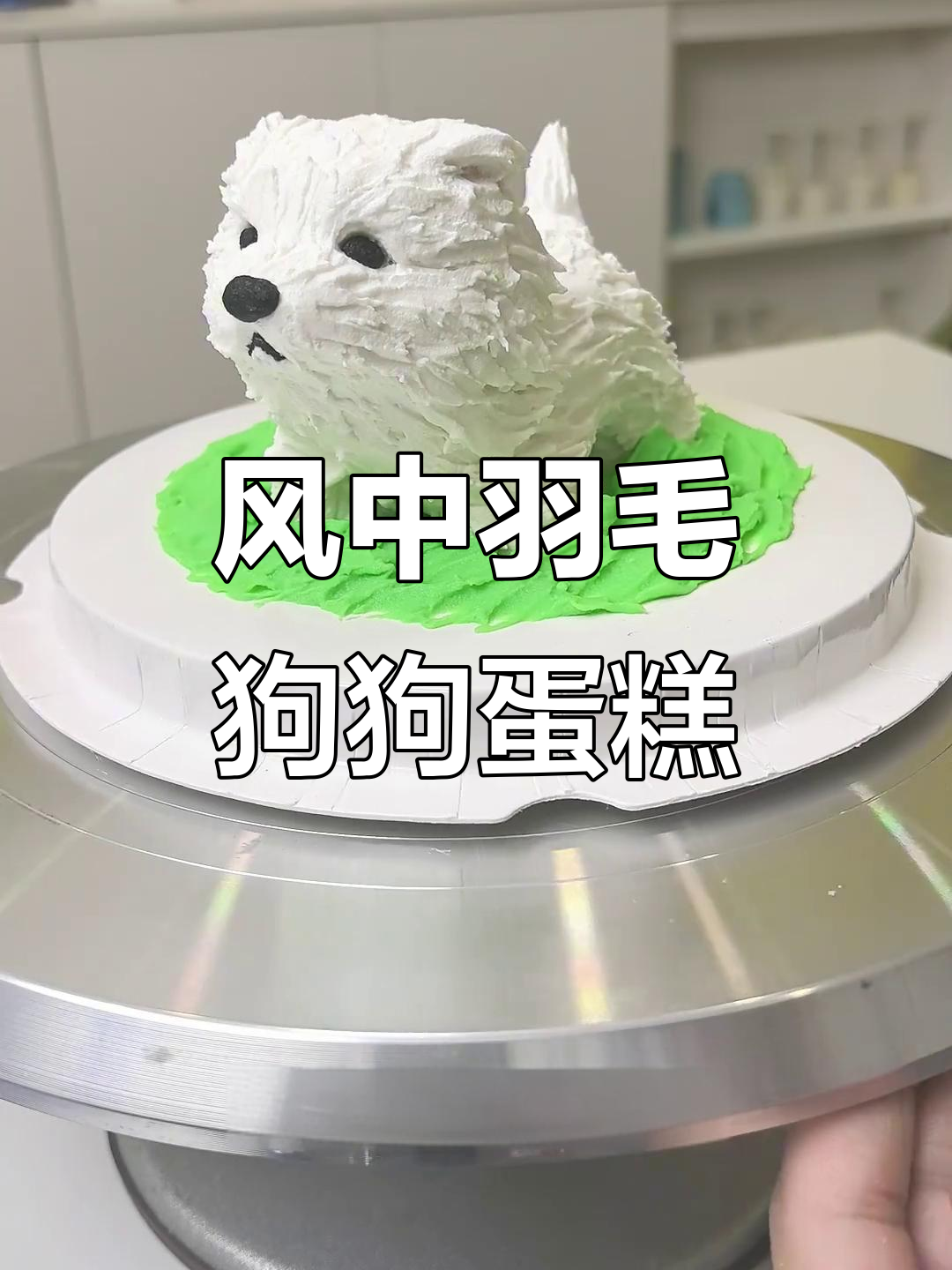 狗狗蛋糕大变身,羽毛球造型超有趣