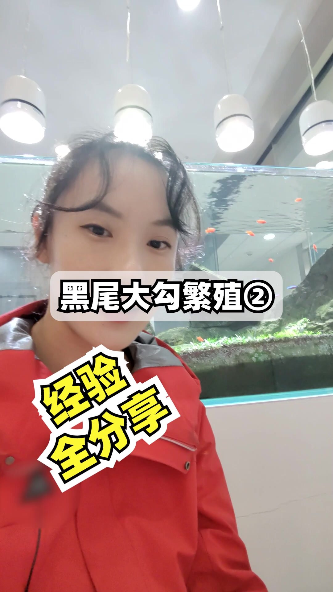 用两个改进措施成功繁殖黑尾大勾