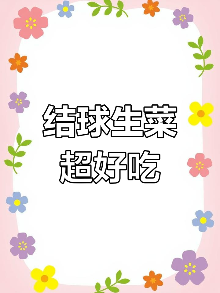 结球生菜:像包菜的口感,却比甘蓝更脆嫩