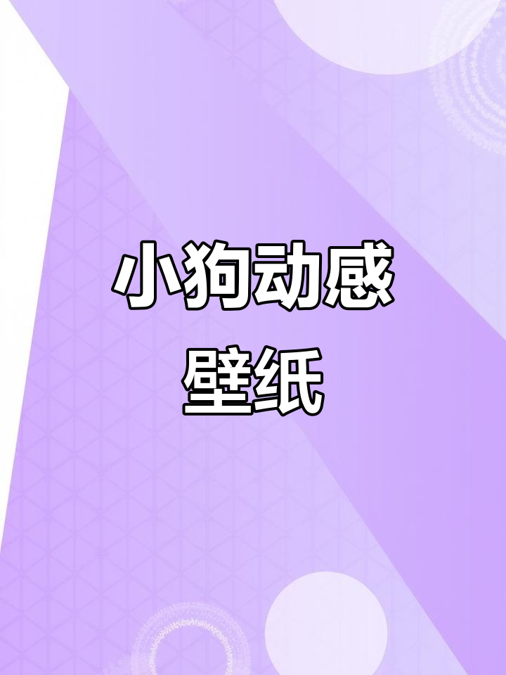 线条小狗动态壁纸,轻松打造个性化桌面风格