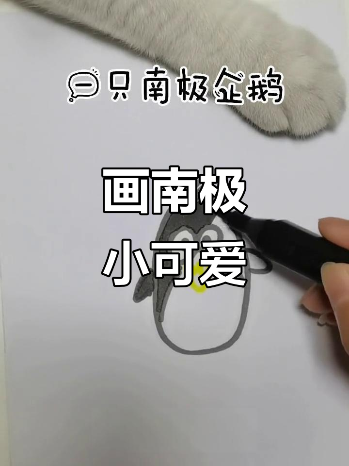 南极探险:画出可爱的南极小动物