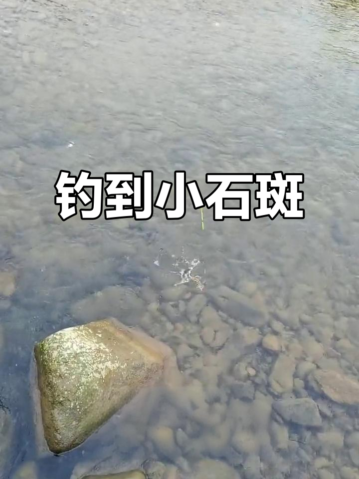 小石斑鱼竟然值20元,钓鱼乐趣多!