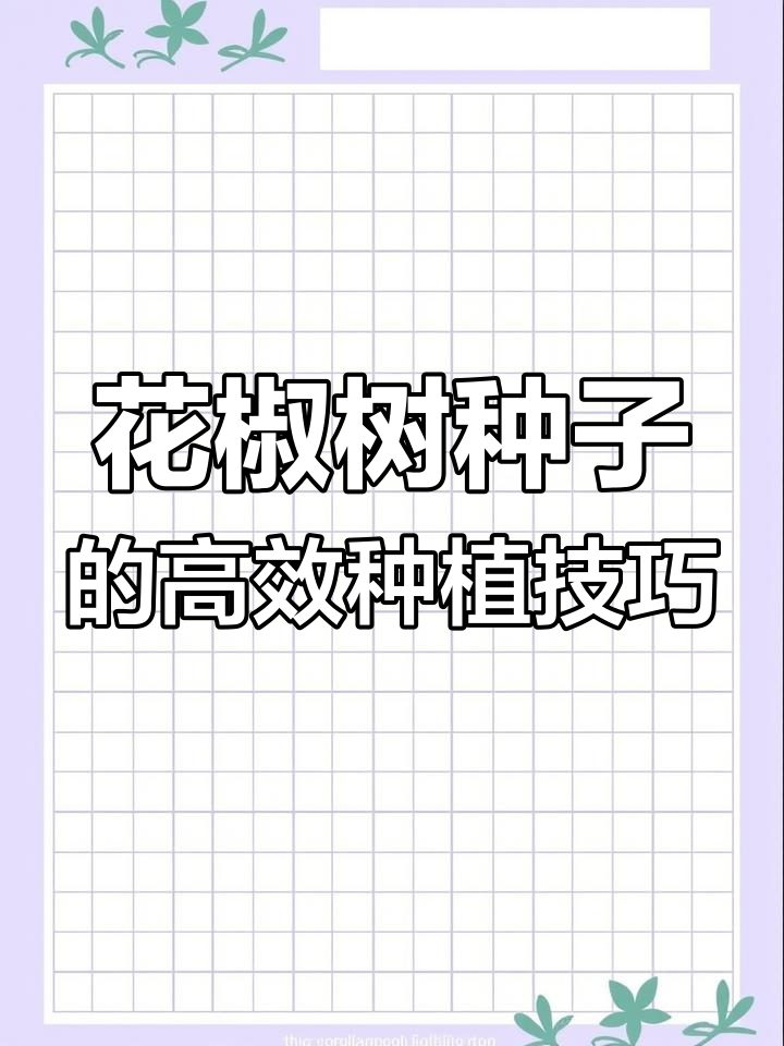 选对花椒树,洗衣粉去油法教你如何种出高产种子