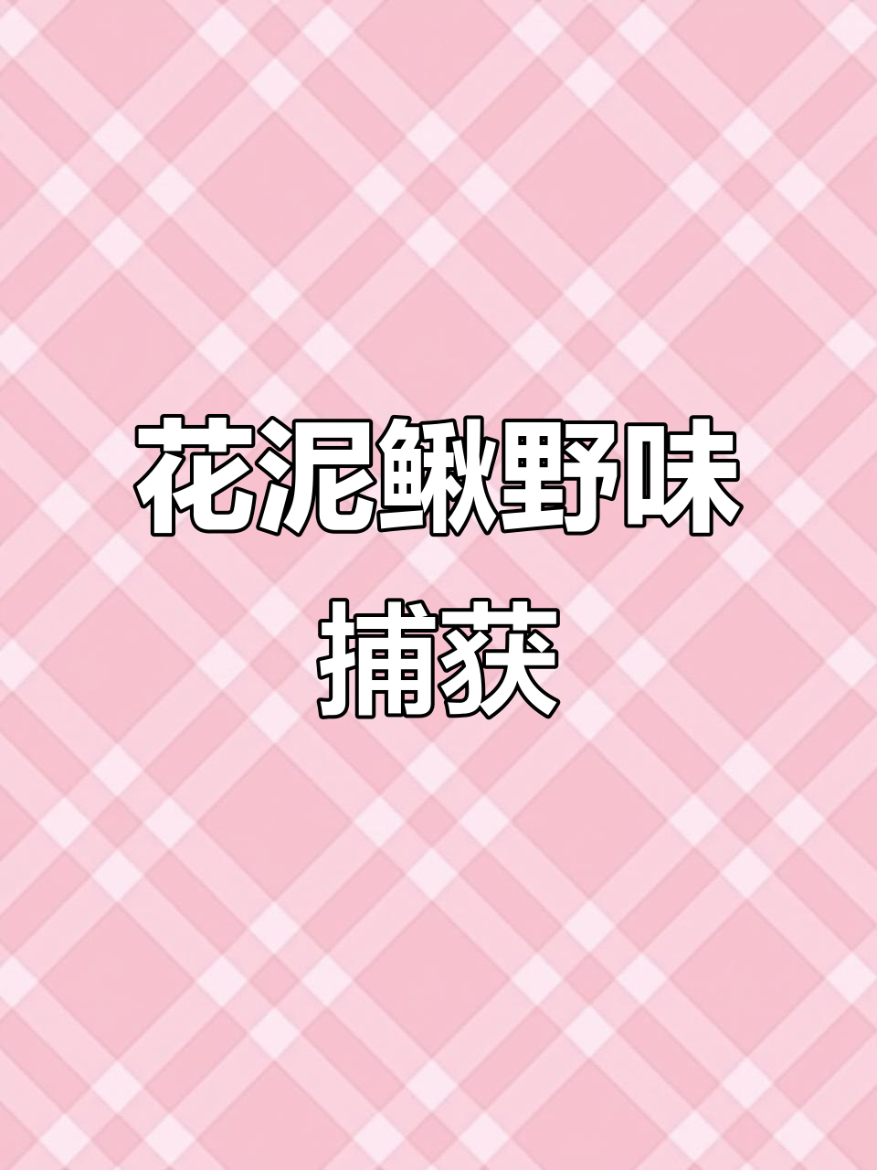 纯野生花泥鳅,新鲜下河捕捞,价格实惠