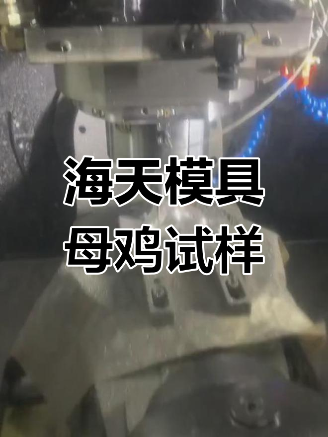 海天模具母鸡测试,效果惊艳!