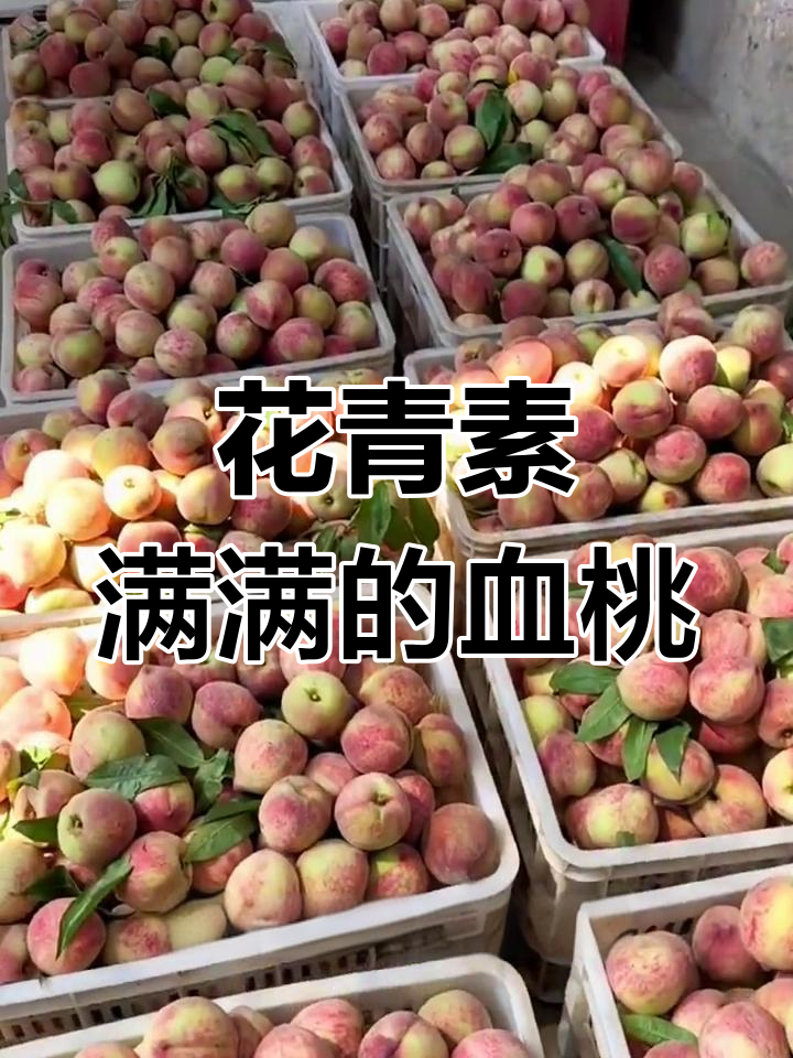 血桃香气扑鼻,果肉分离,花青素满满,口感独特!